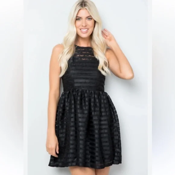 Anthropologie Finn & Clover Fit and Flare cut Mesh Black Lace Dress Size Small - Picture 4 of 5